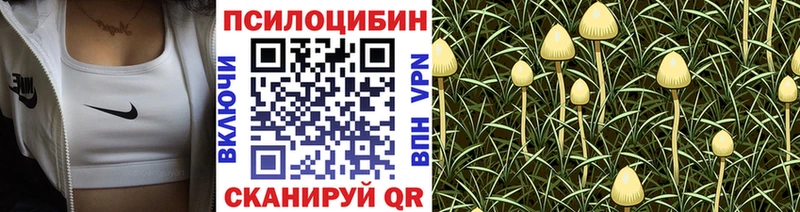 Купить  Георгиевск  Псилоцибиновые грибы прущие грибы 