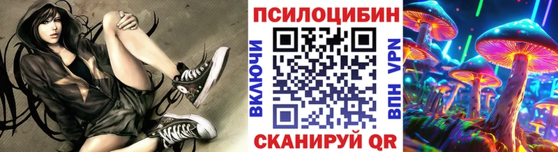 Псилоцибиновые грибы мицелий Георгиевск